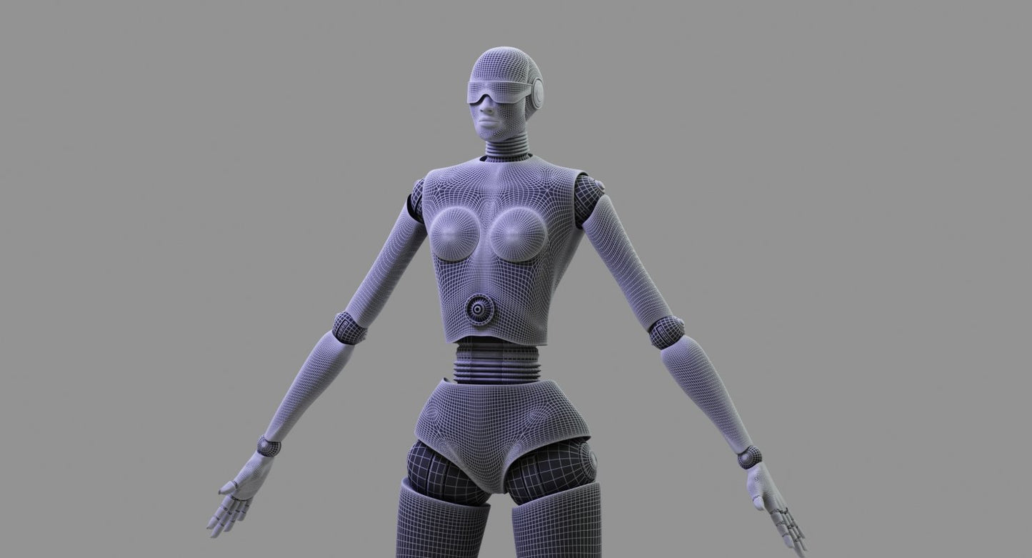 Female Robot 8