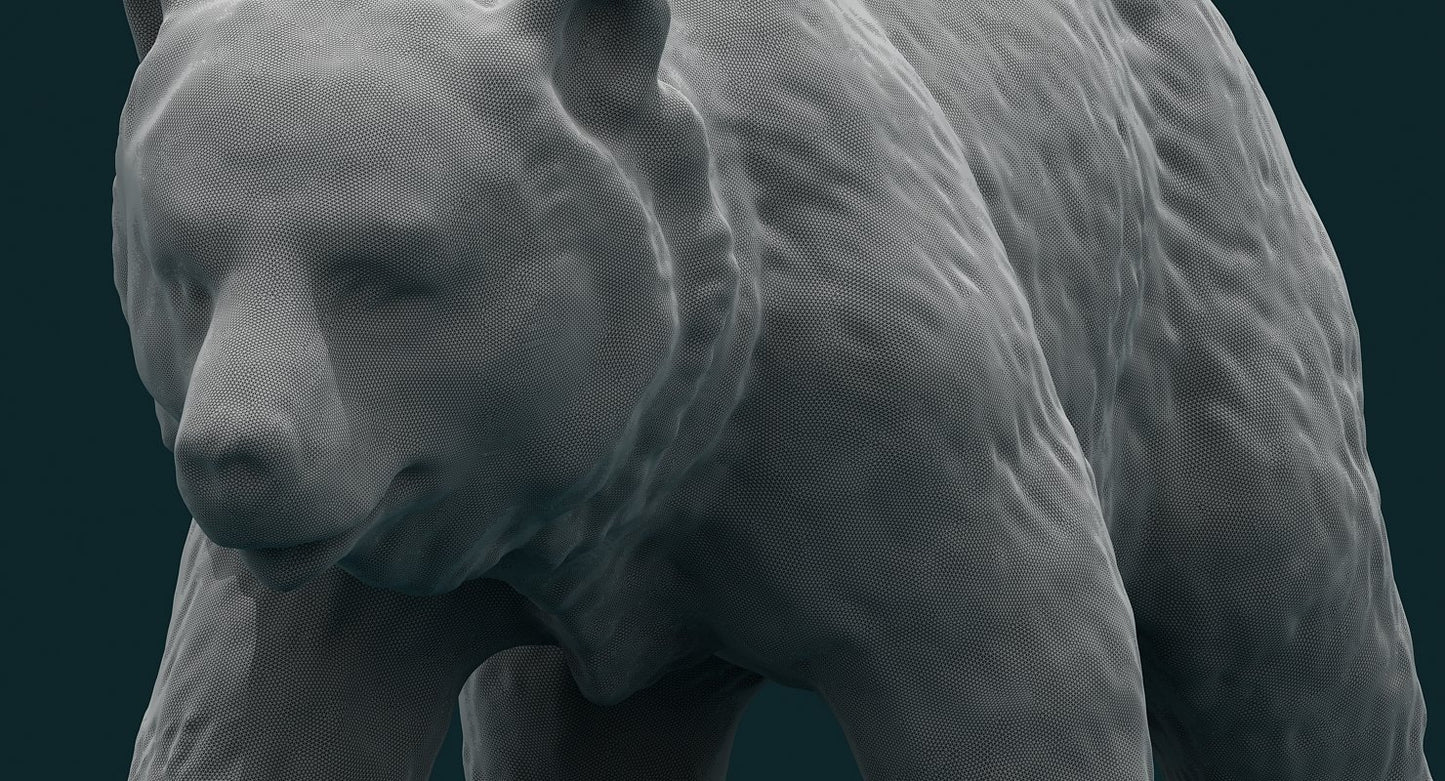 3D Bear