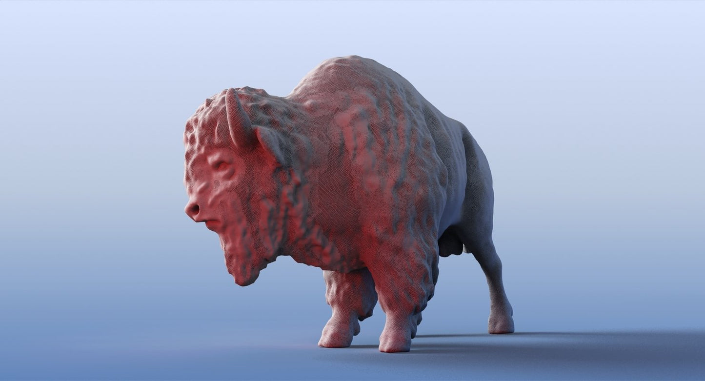 Bison