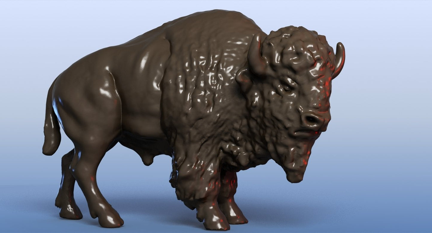 Bison