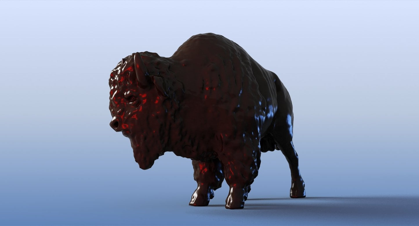 Bison