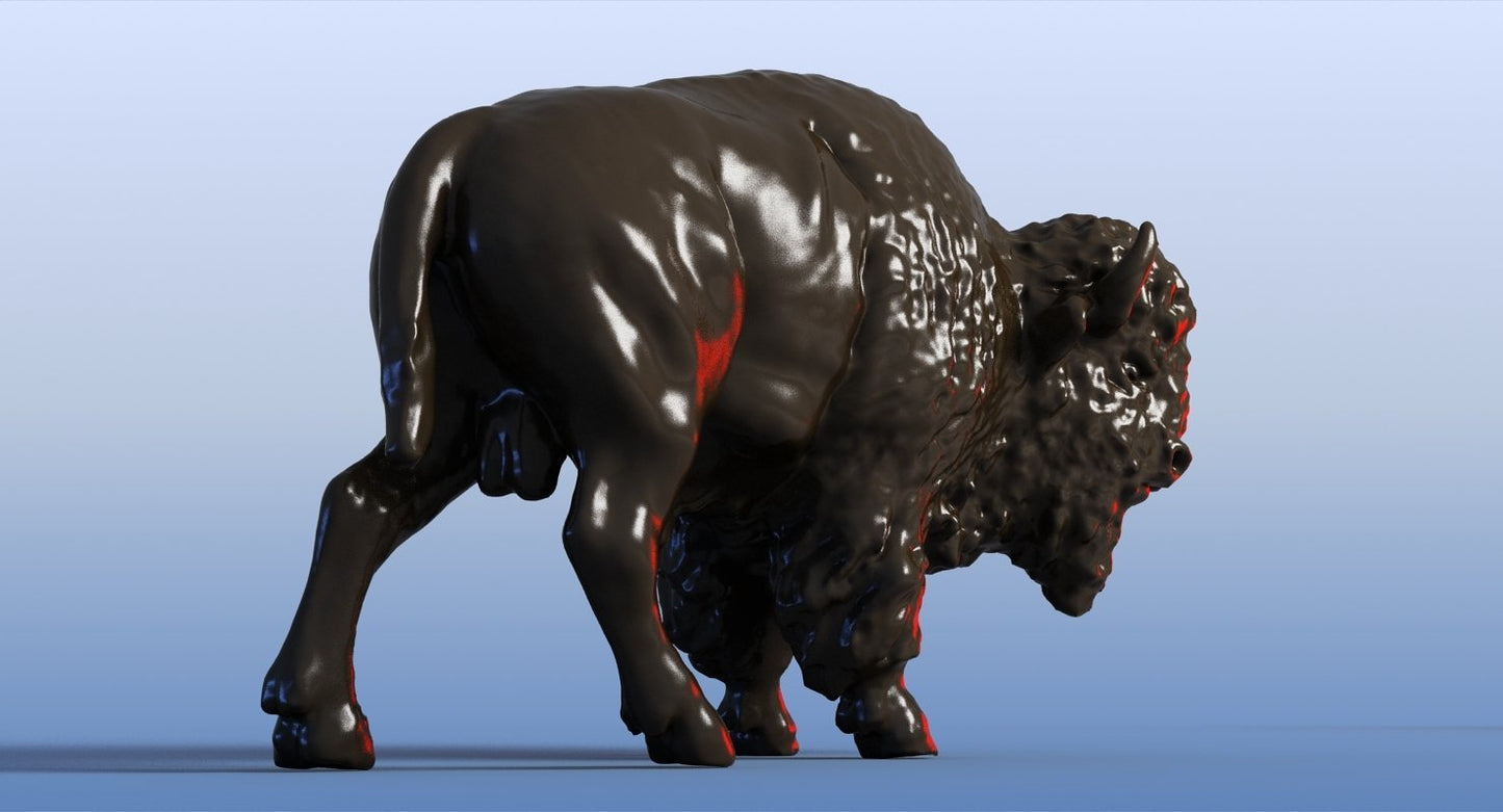 Bison