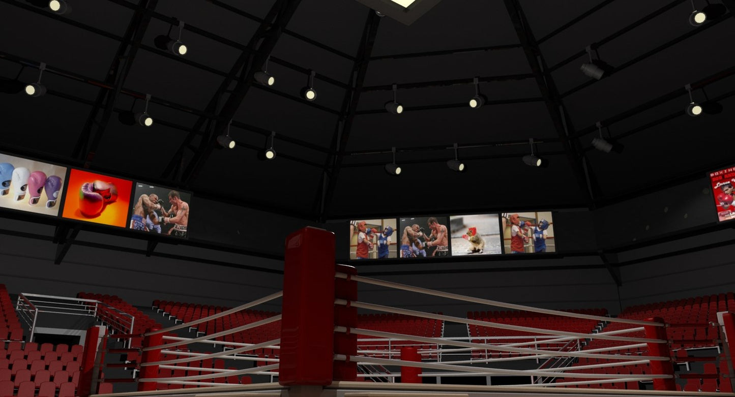 Boxing Arena 3D model