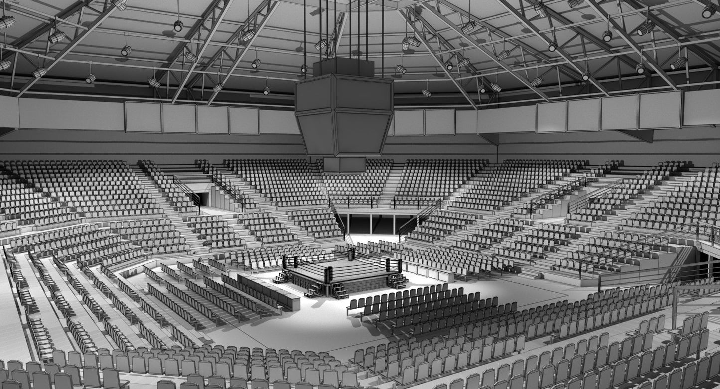 Boxing Arena 3D model