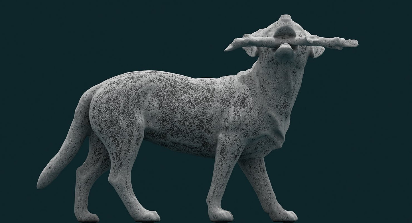 Dog 3D Model