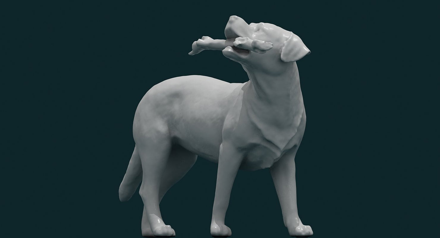 Dog 3D Model