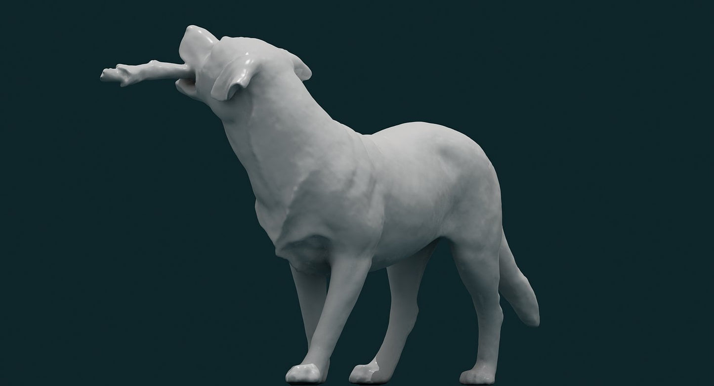 Dog 3D Model