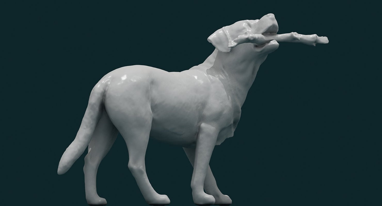 Dog 3D Model