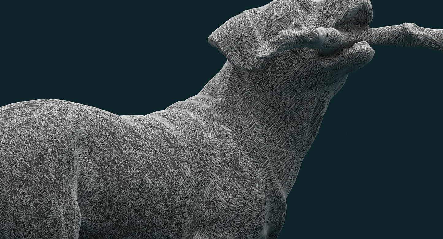 Dog 3D Model