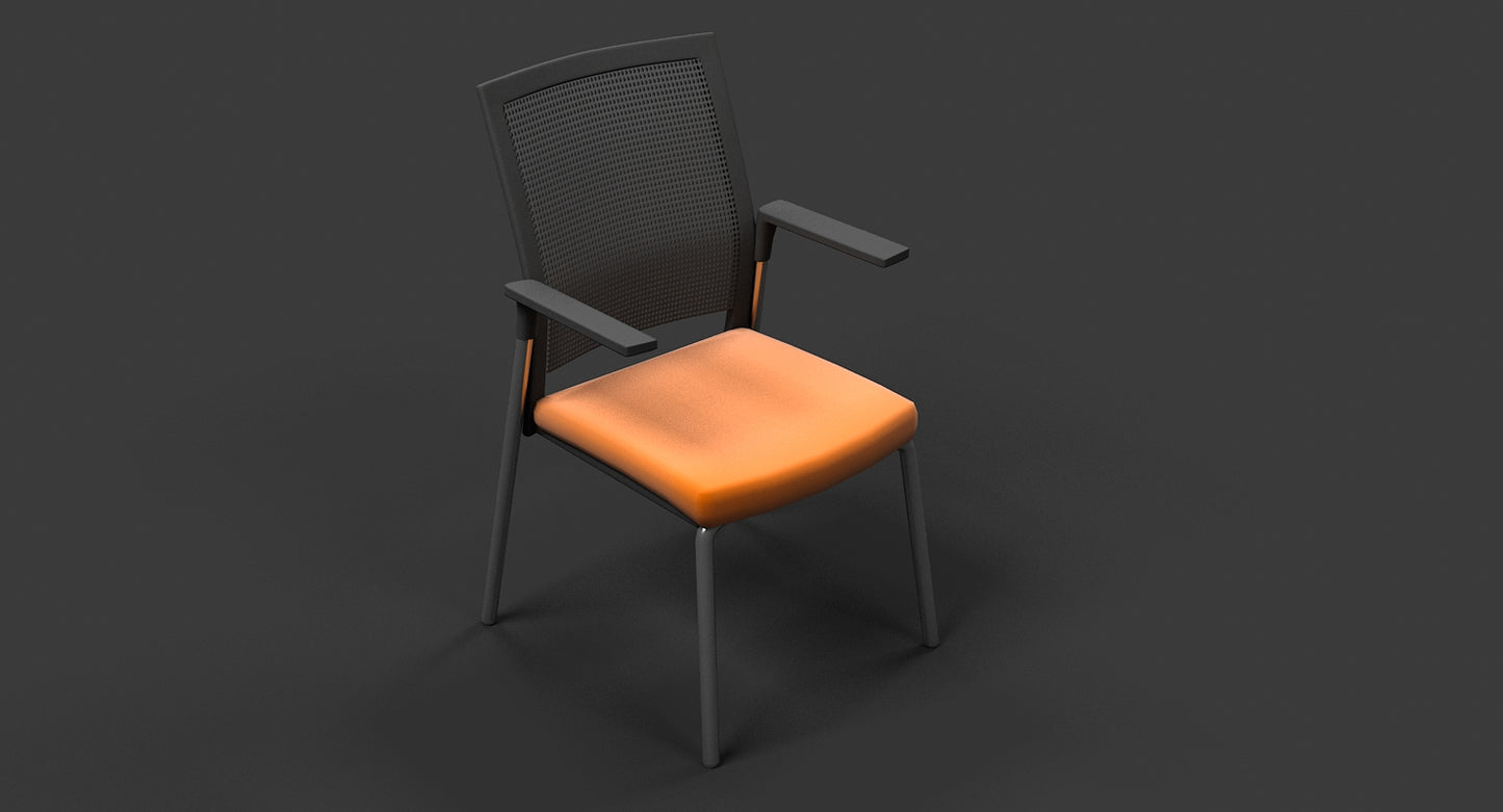 Meeting Chair