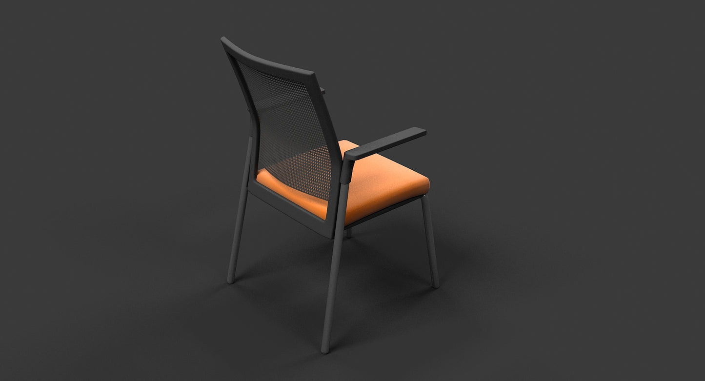 Meeting Chair