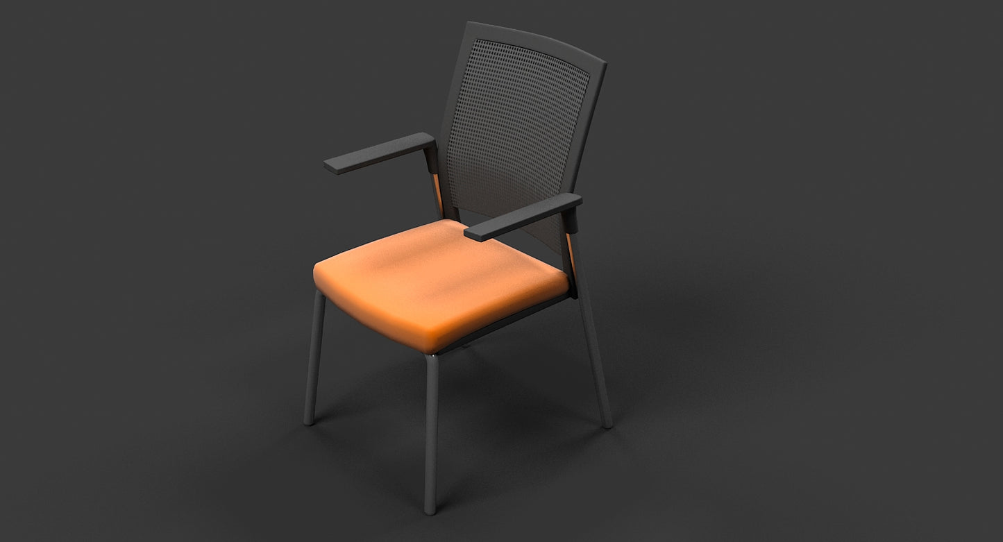 Meeting Chair