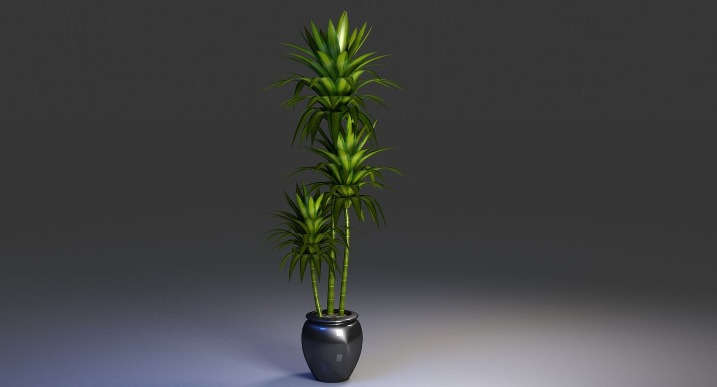 Office Pot Plant 3D Model