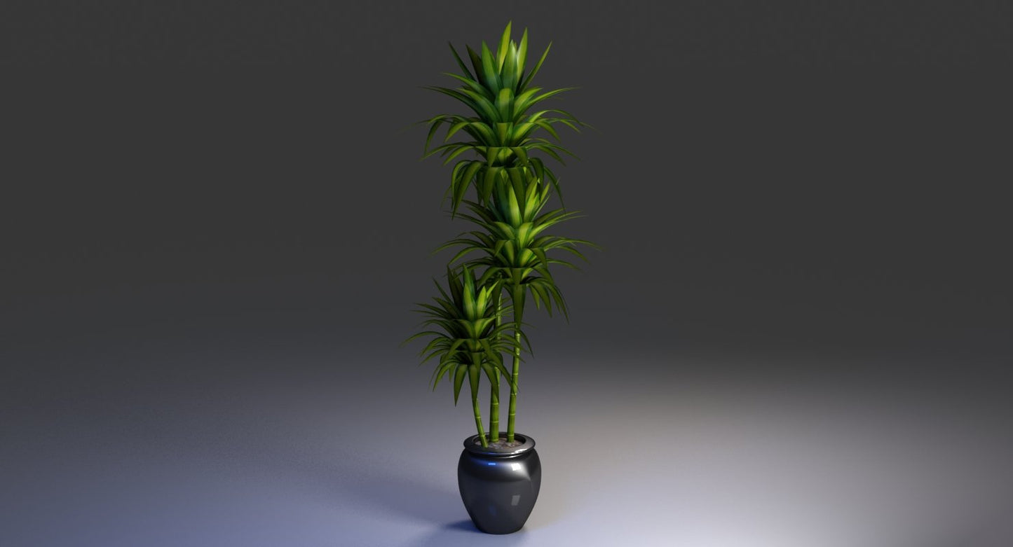 Office Pot Plant 3D Model