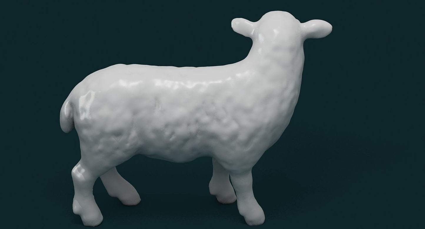 Sheep