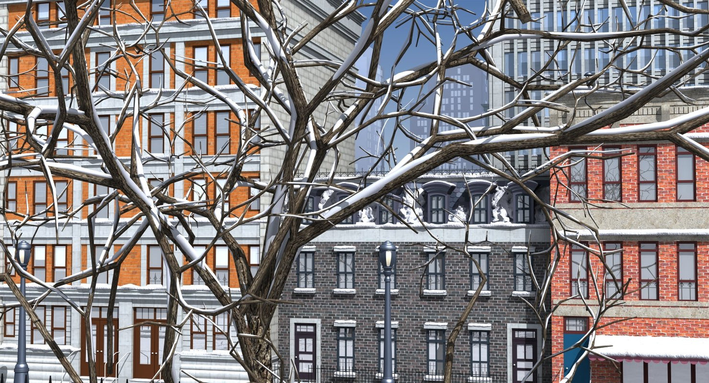 3D Street Day Snow