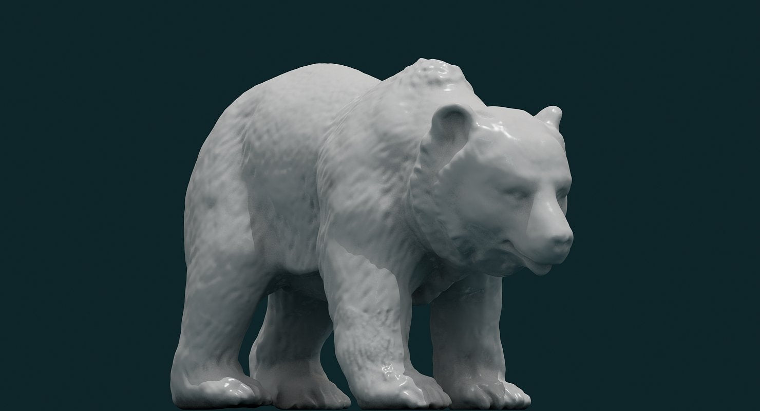 3D Bear - WireCASE