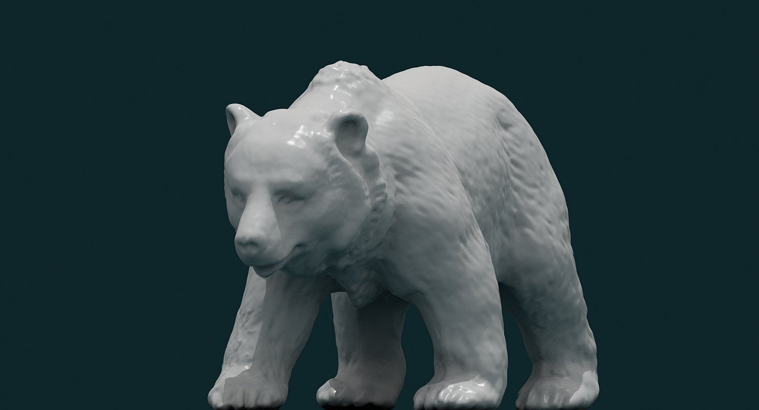 3D Bear - WireCASE