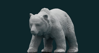 3D Bear
