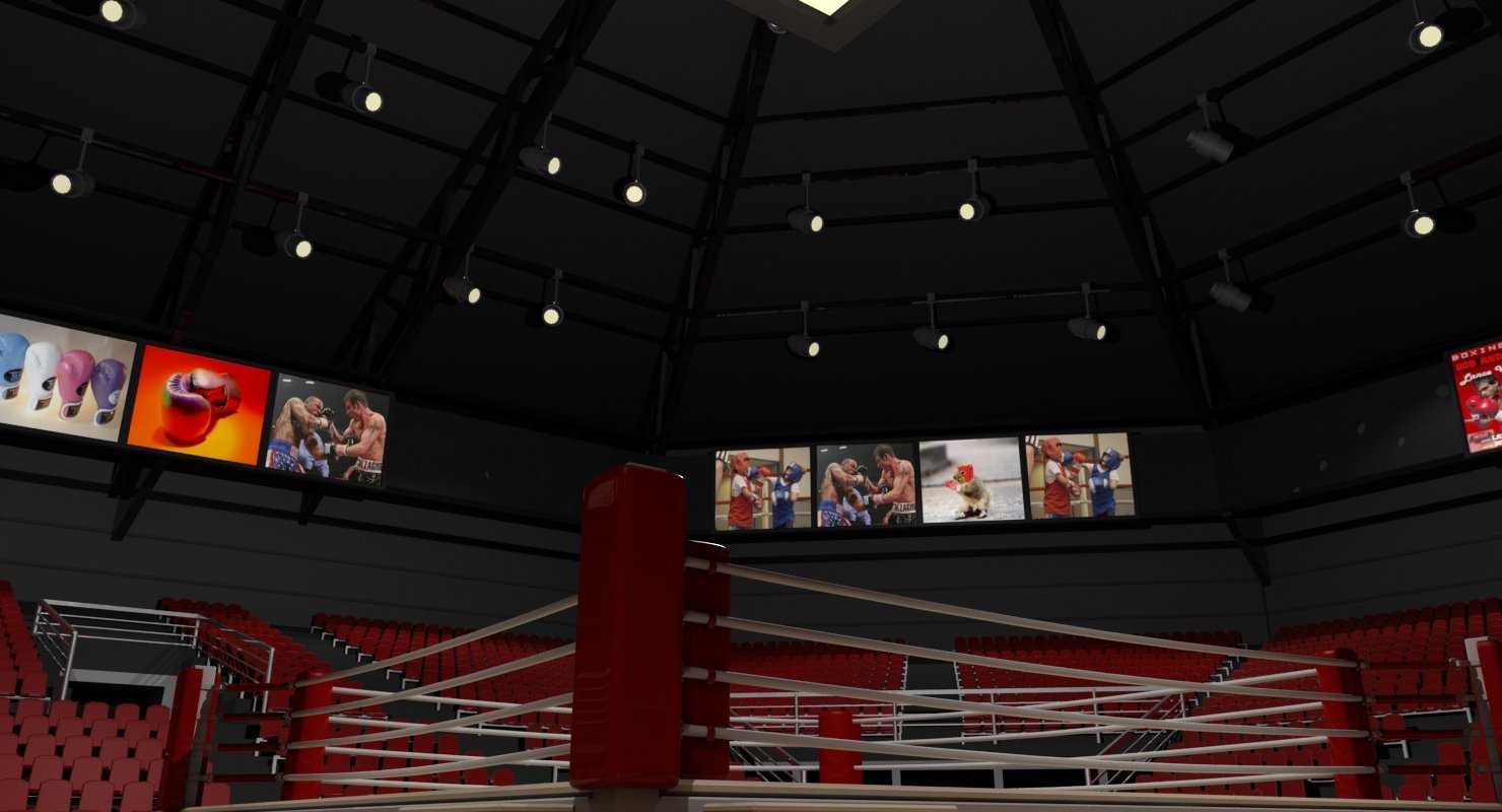 Boxing Arena 3D model - WireCASE