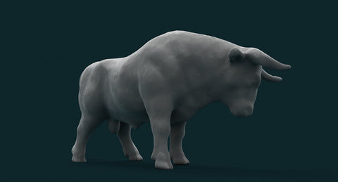Bull - WireCASE