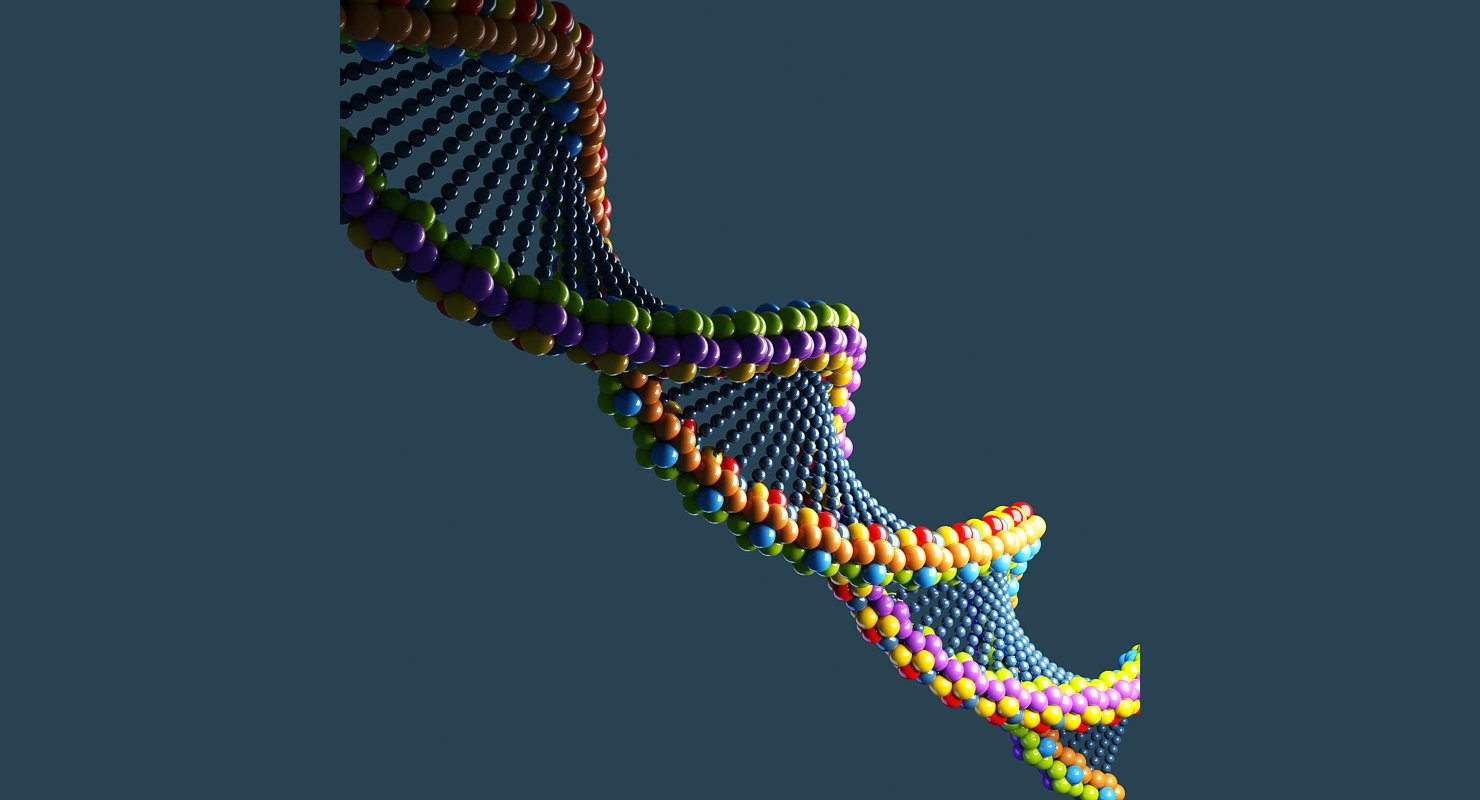 DNA 3D Model - WireCASE
