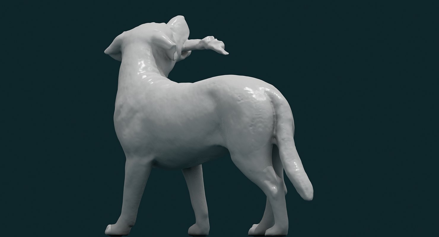 Dog 3D Model - WireCASE