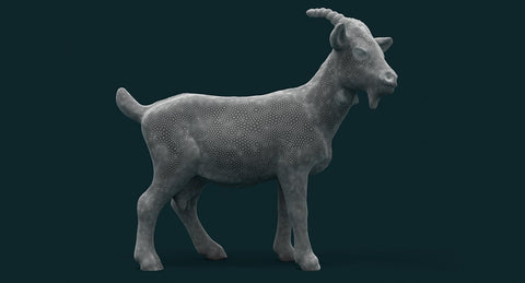 Goat - WireCASE