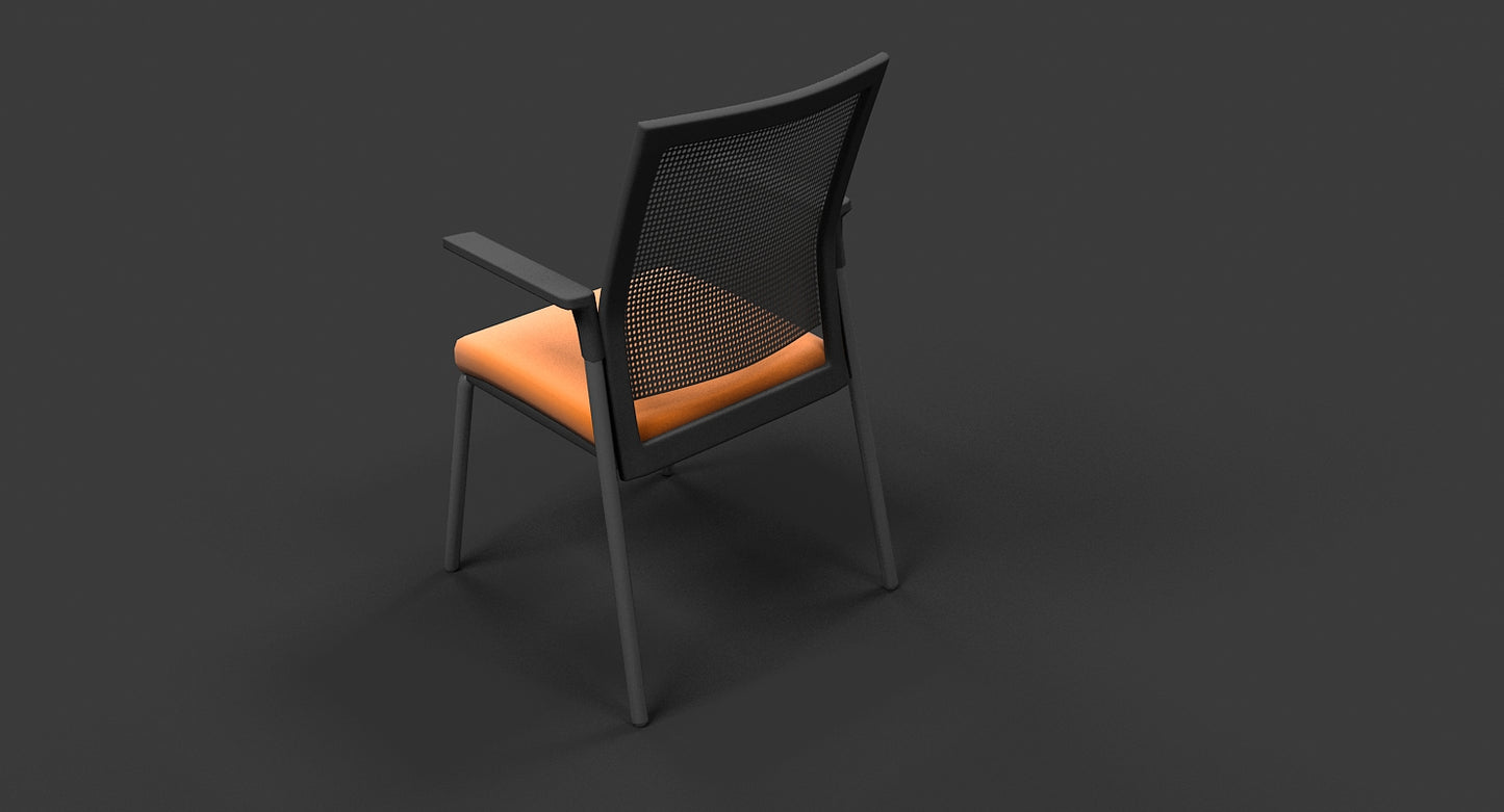 Meeting Chair