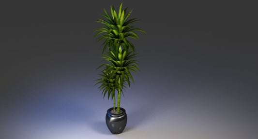 Office Pot Plant 3D Model - WireCASE