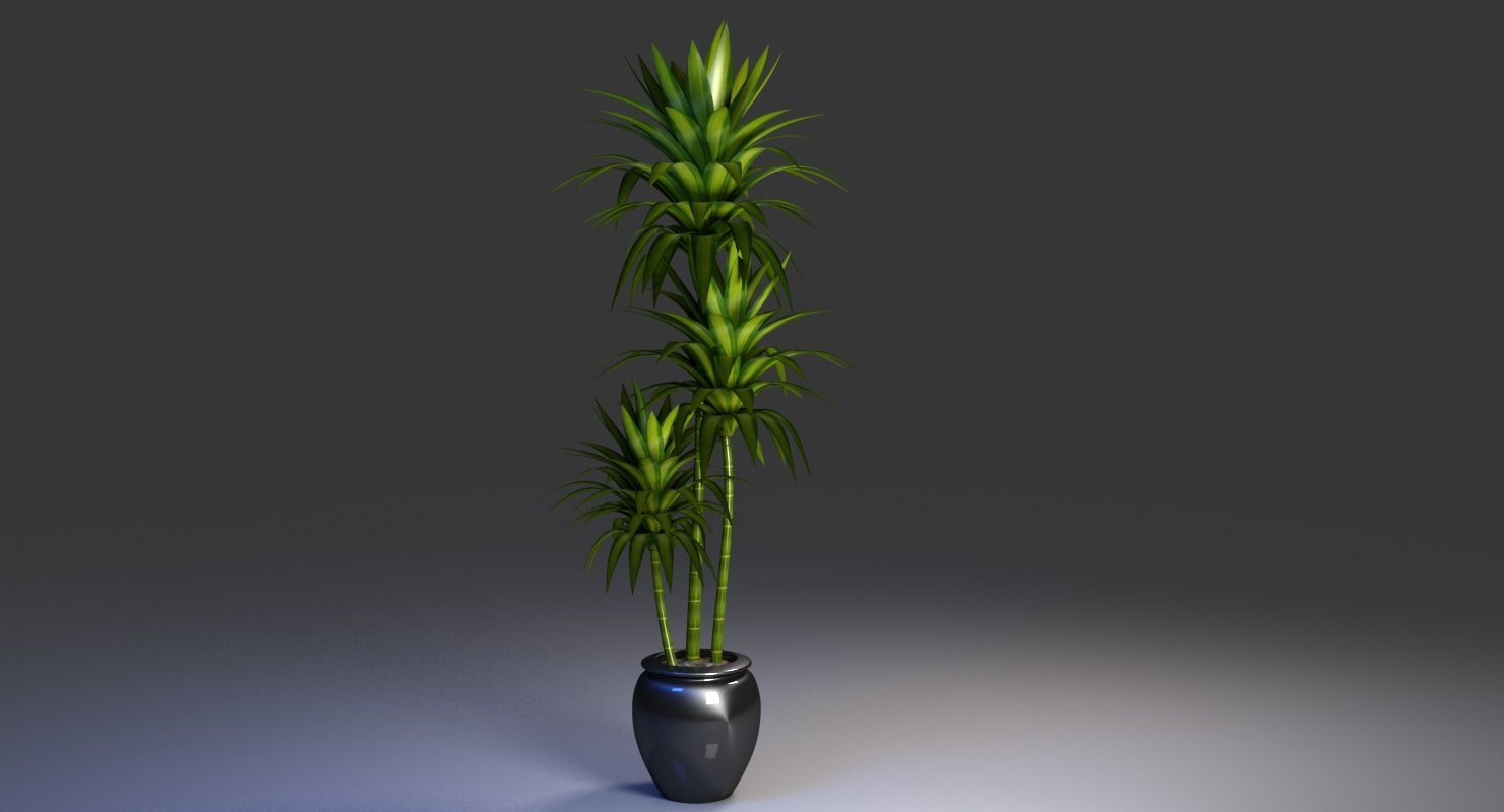 Office Pot Plant 3D Model - WireCASE