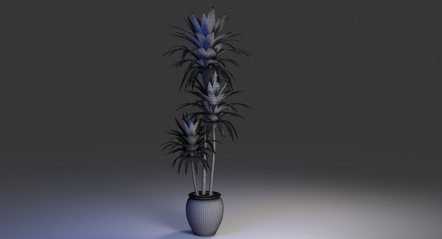 Office Pot Plant 3D Model